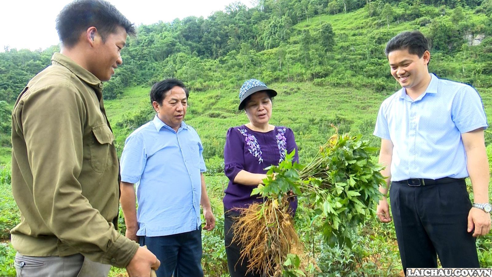 Lai Châu: Thúc đẩy phát triển sản xuất nông nghiệp quy mô lớn, đa dạng hóa sản phẩm gắn với nhu cầu thị trường và lợi thế cạnh tranh